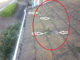 前橋市調査屋根のコケの指摘