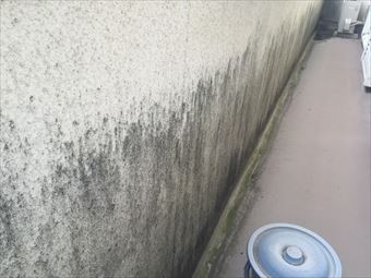 藤岡市藤岡外壁の汚れ