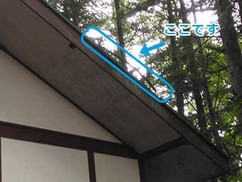 北軽井沢別荘現地調査屋根に枝
