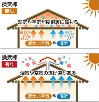 換気棟 無・有