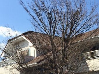 前橋市江木町建物外観