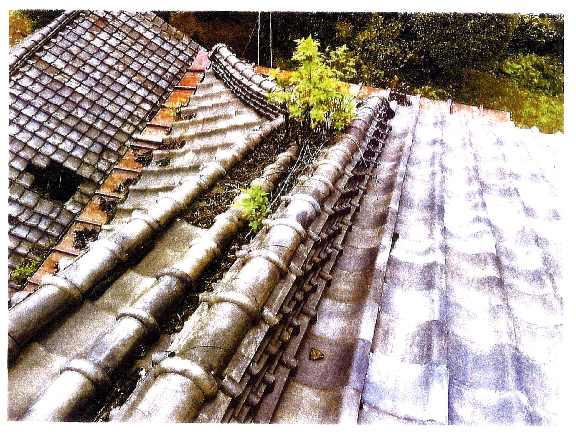 前橋市にて屋根の葺き替え・板金塗装工事を行いました